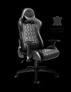 Spirit of Gamer Blackhawk